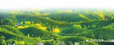 1574823662621360.jpg 2019112704.jpg