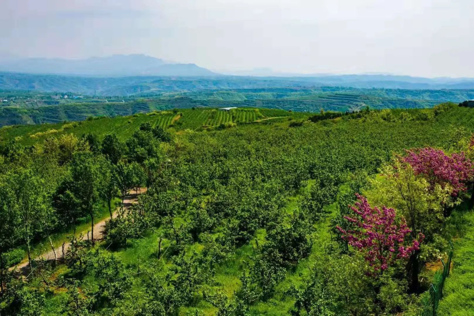 1600241158205130.jpg 1600241158205130.jpg